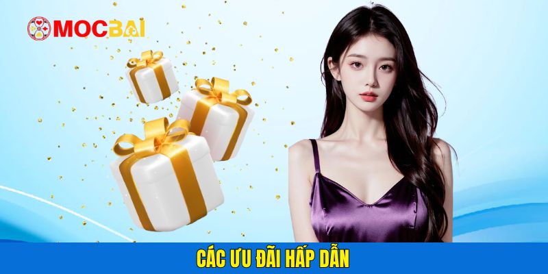 Các ưu đãi hấp dẫn